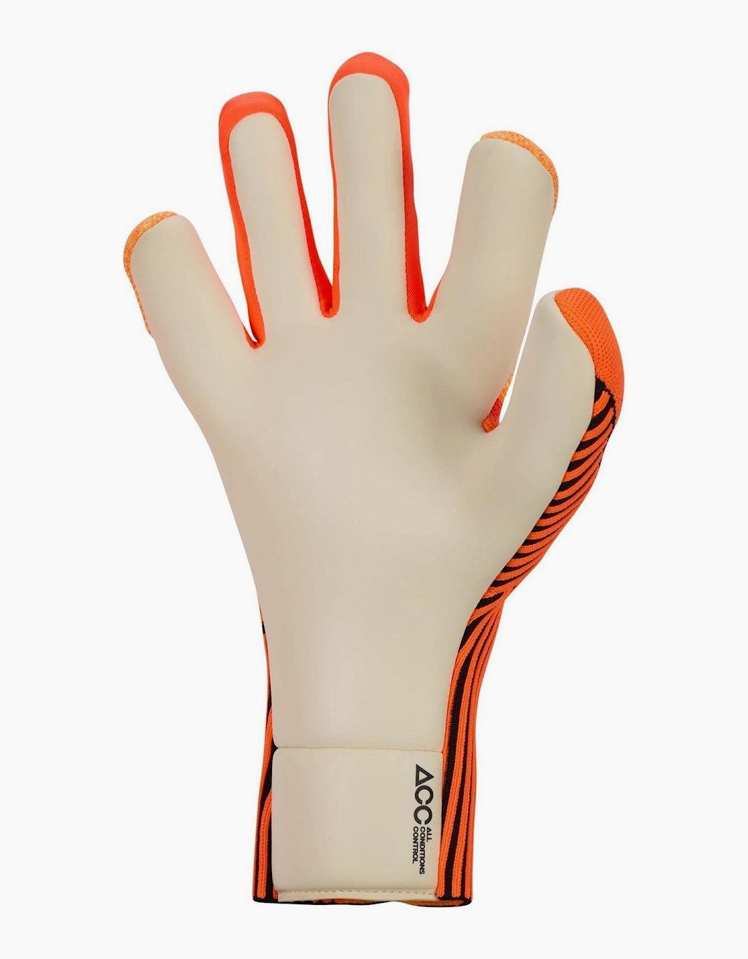 Nk Gk Phantom Dyn
