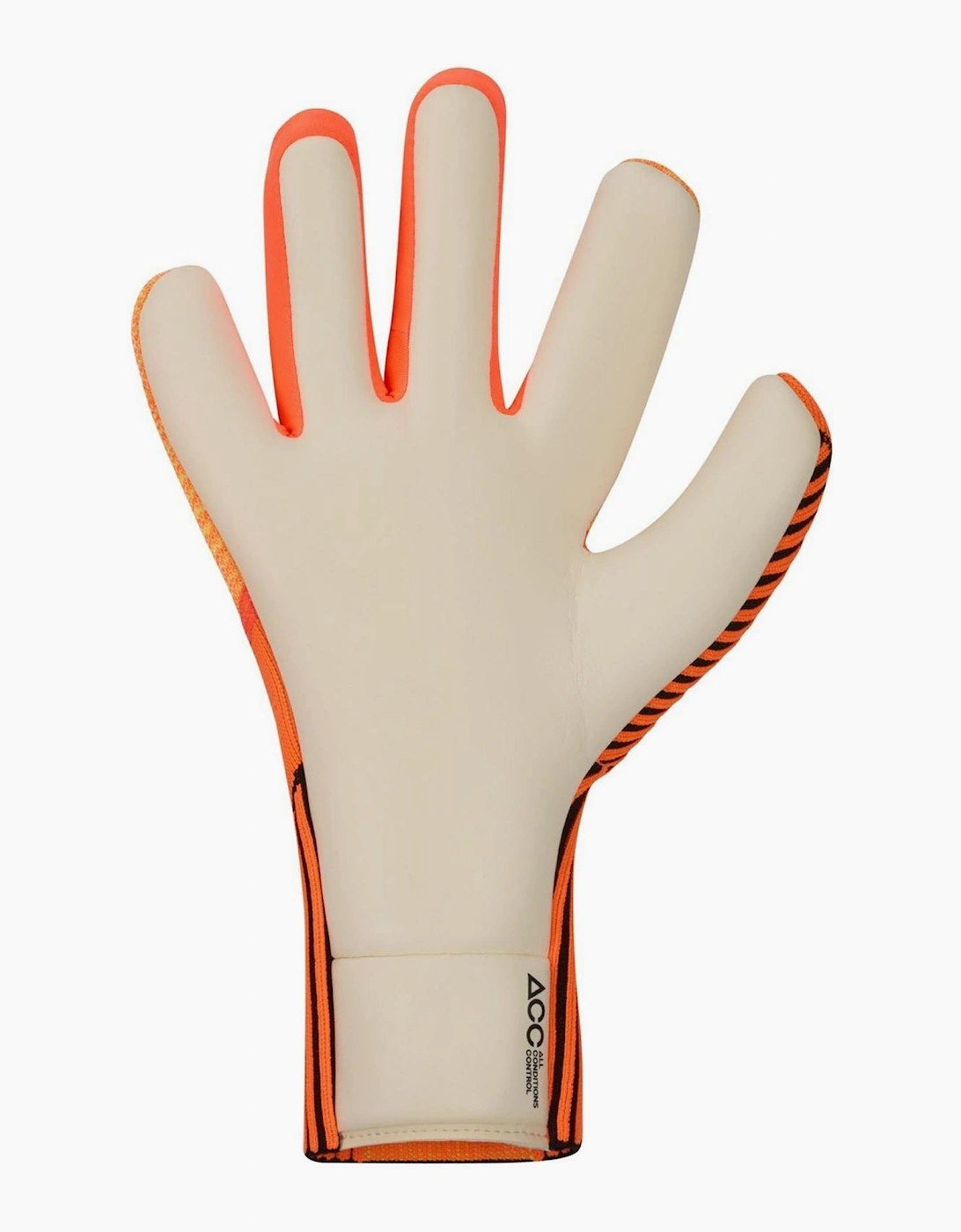 Nk Gk Phantom Dyn