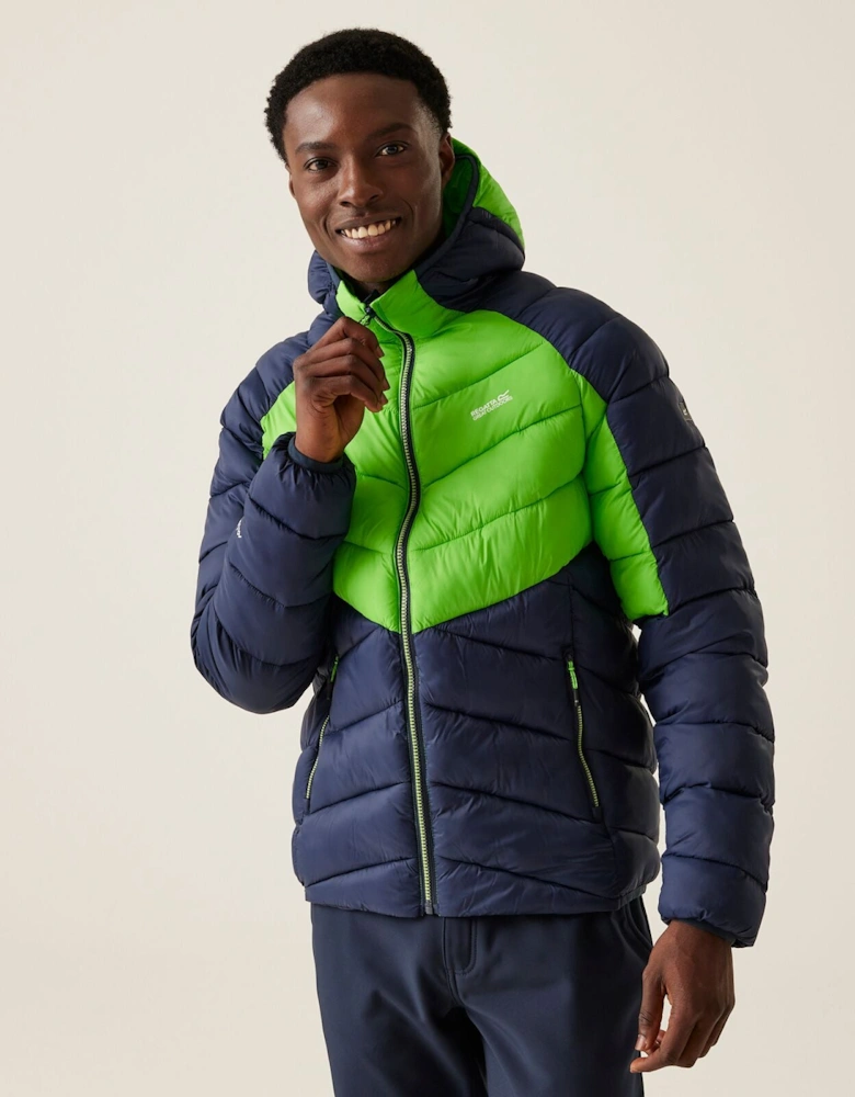 Regatta Mens Hooded Dalent Padded Jacket