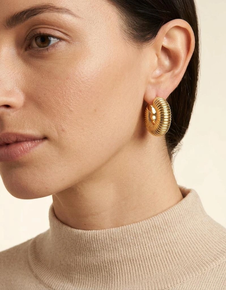 Fifer Gold Hoop Earrings