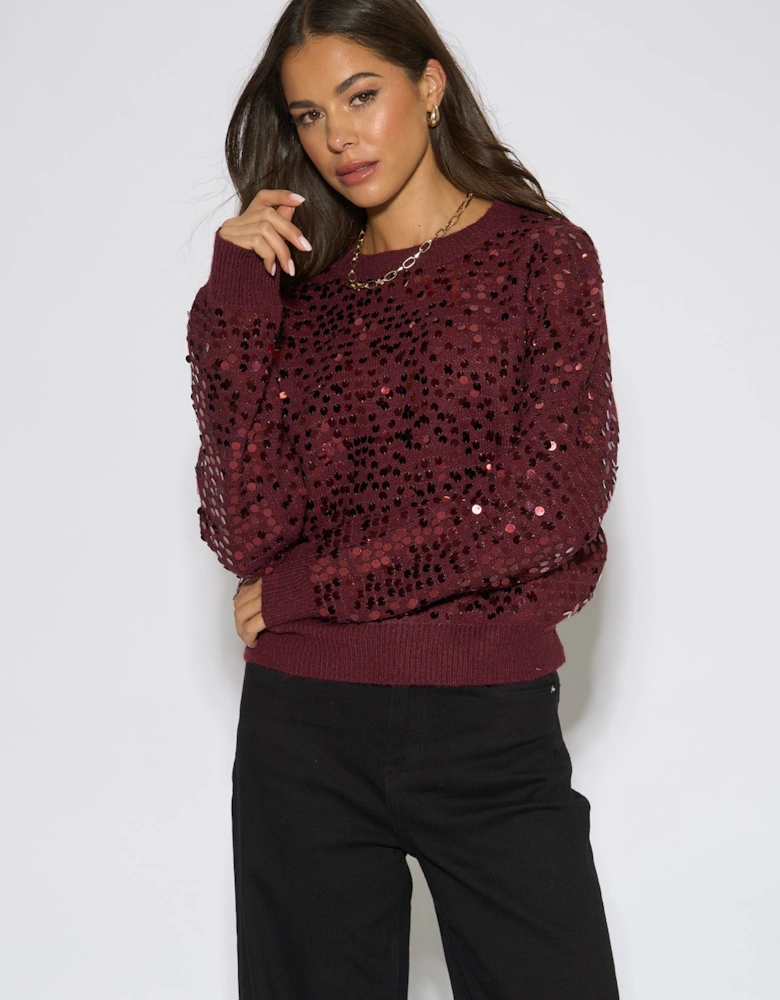Mulberry Sequin Long Sleeve Knit Jumper