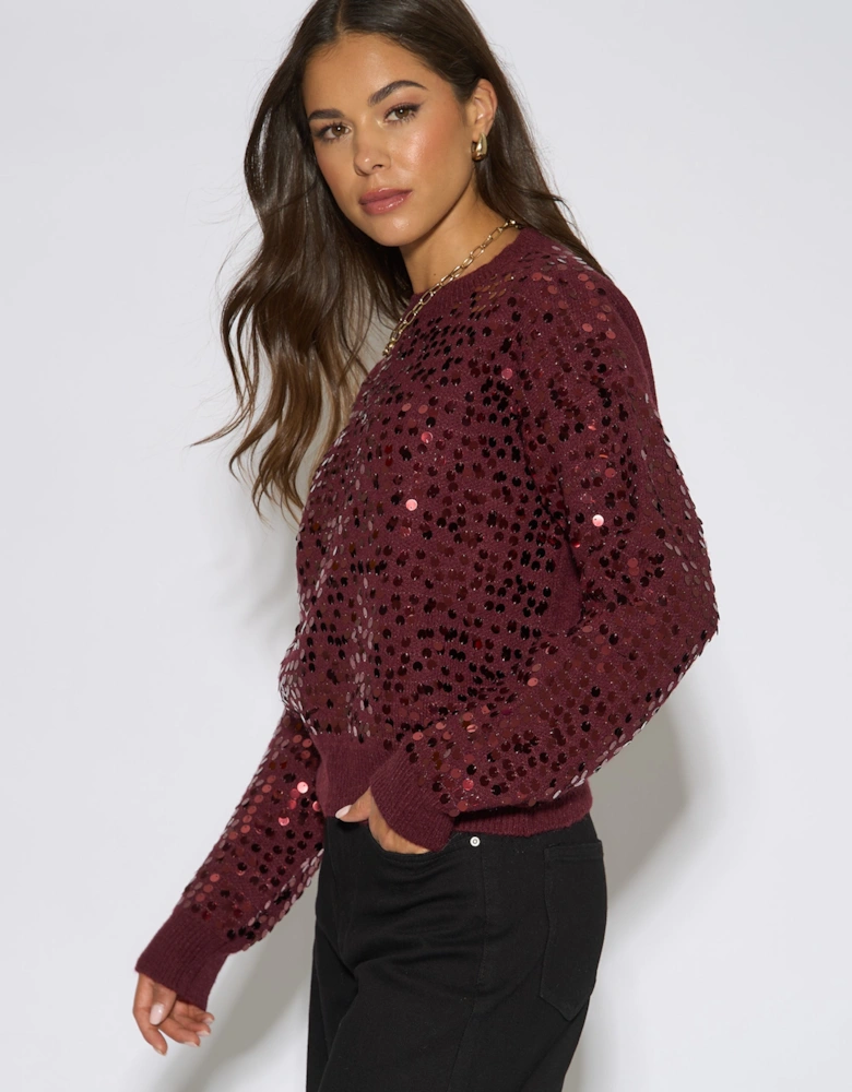 Mulberry Sequin Long Sleeve Knit Jumper