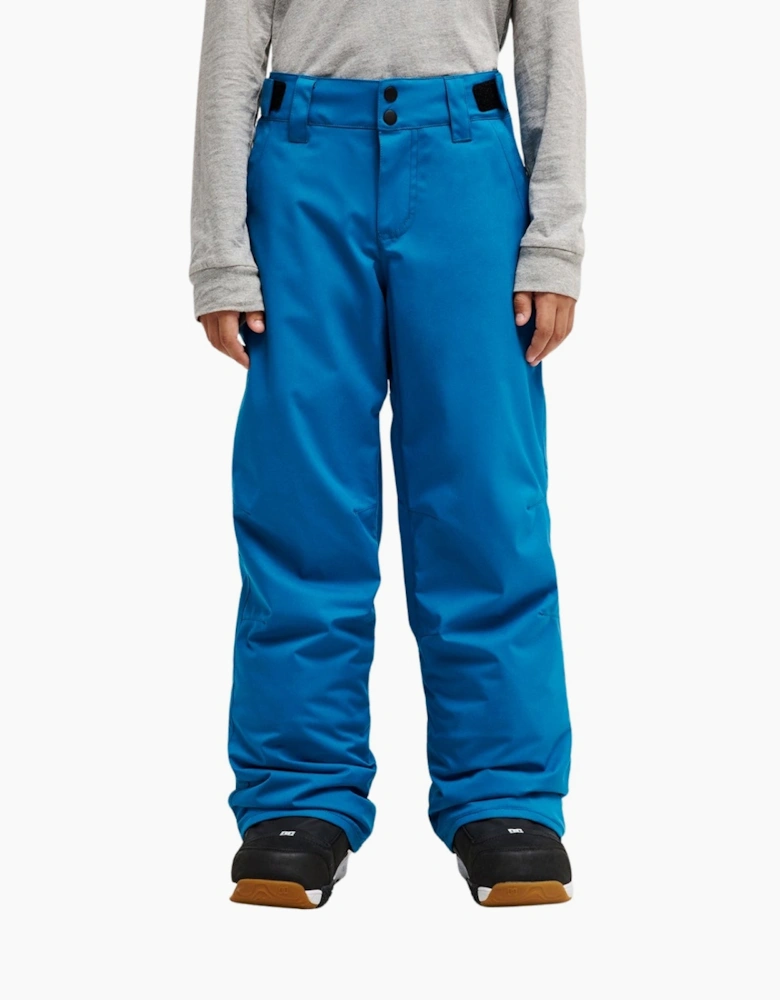 Quiksilver Kids Estate 10K Technical Ski Pants