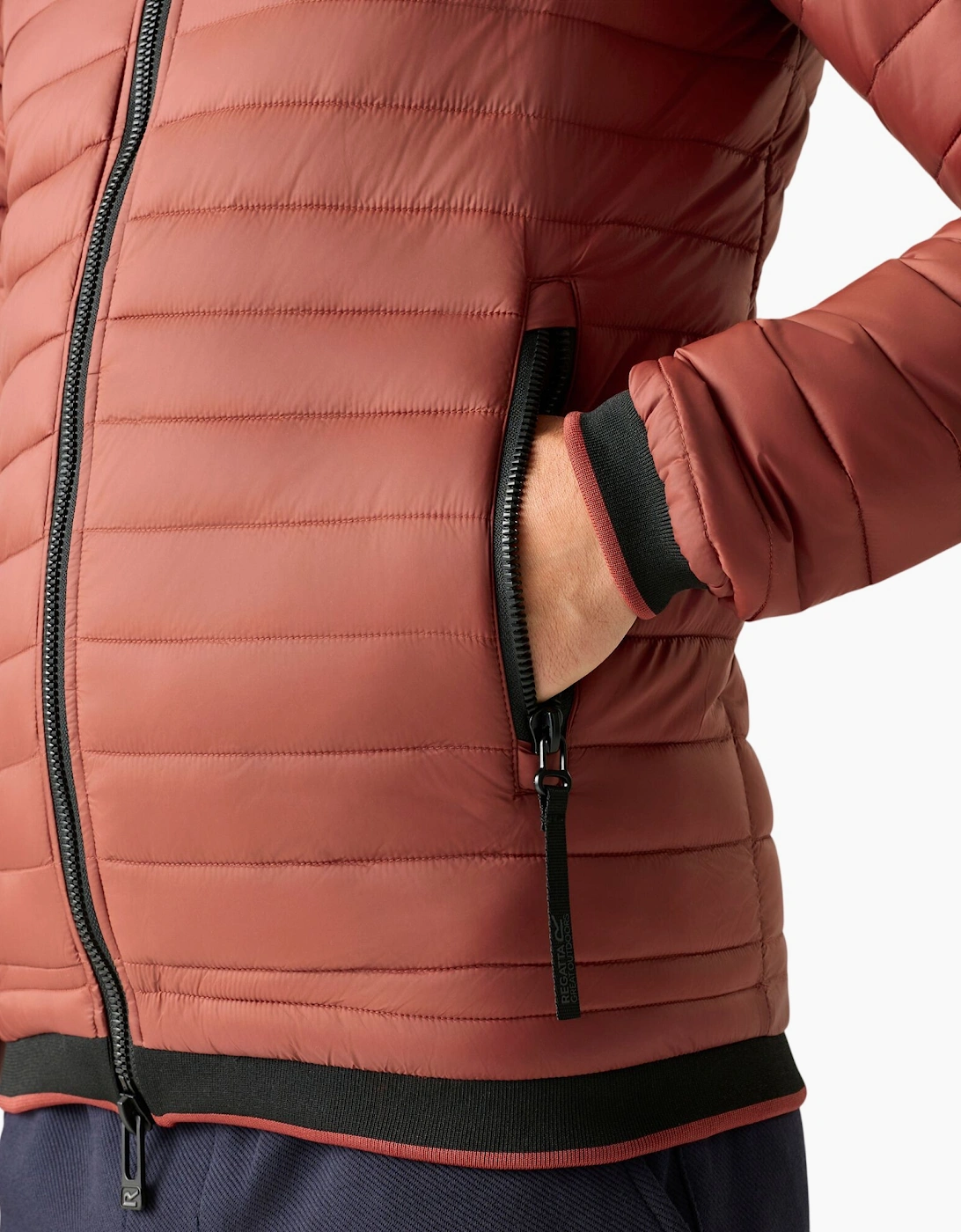 Regatta Mens Haile Padded Jacket