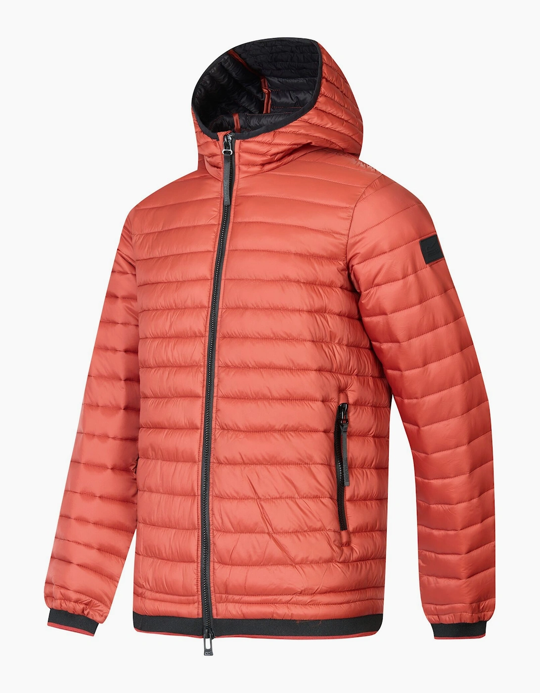 Regatta Mens Haile Padded Jacket