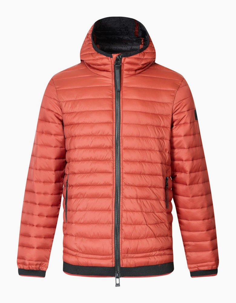 Regatta Mens Haile Padded Jacket