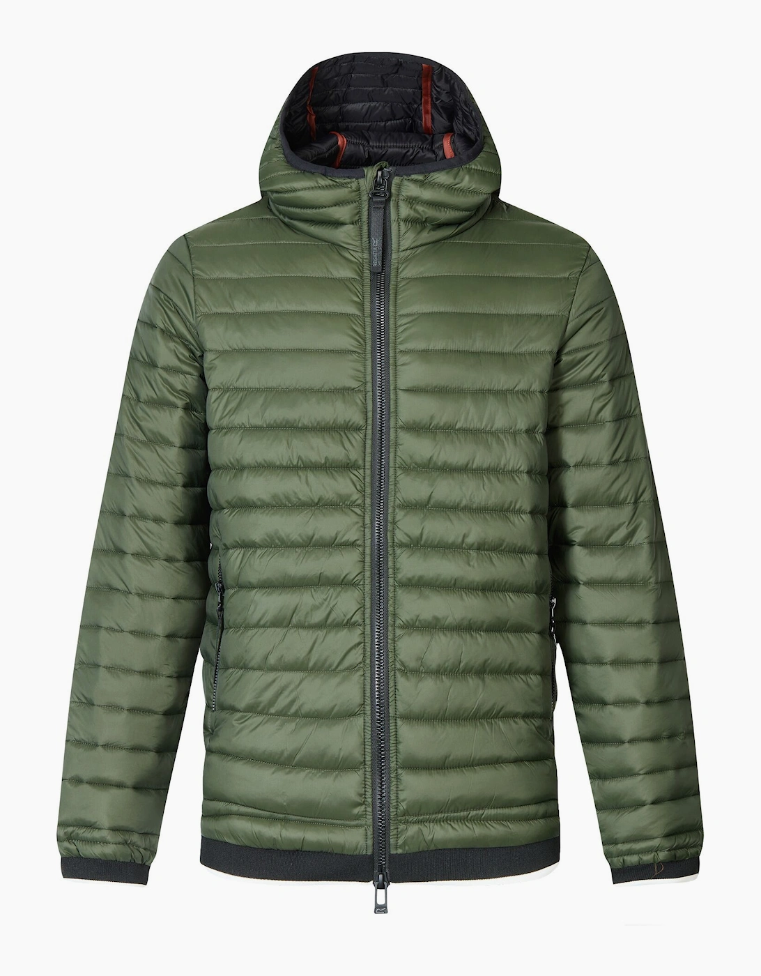 Regatta Mens Haile Padded Jacket