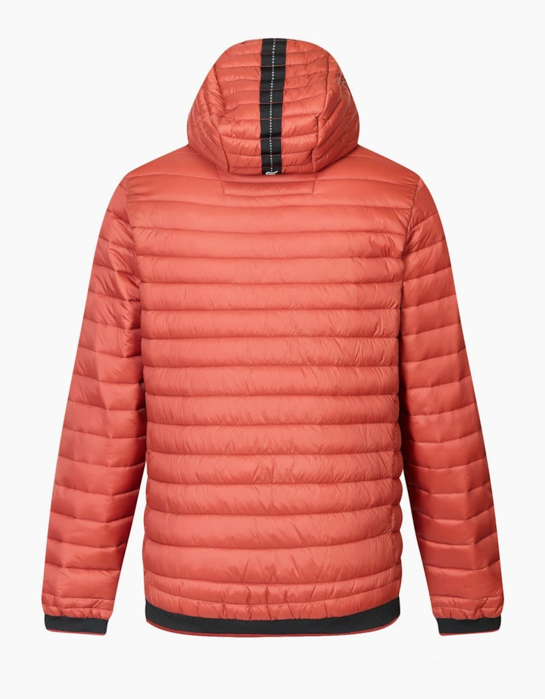 Regatta Mens Haile Padded Jacket