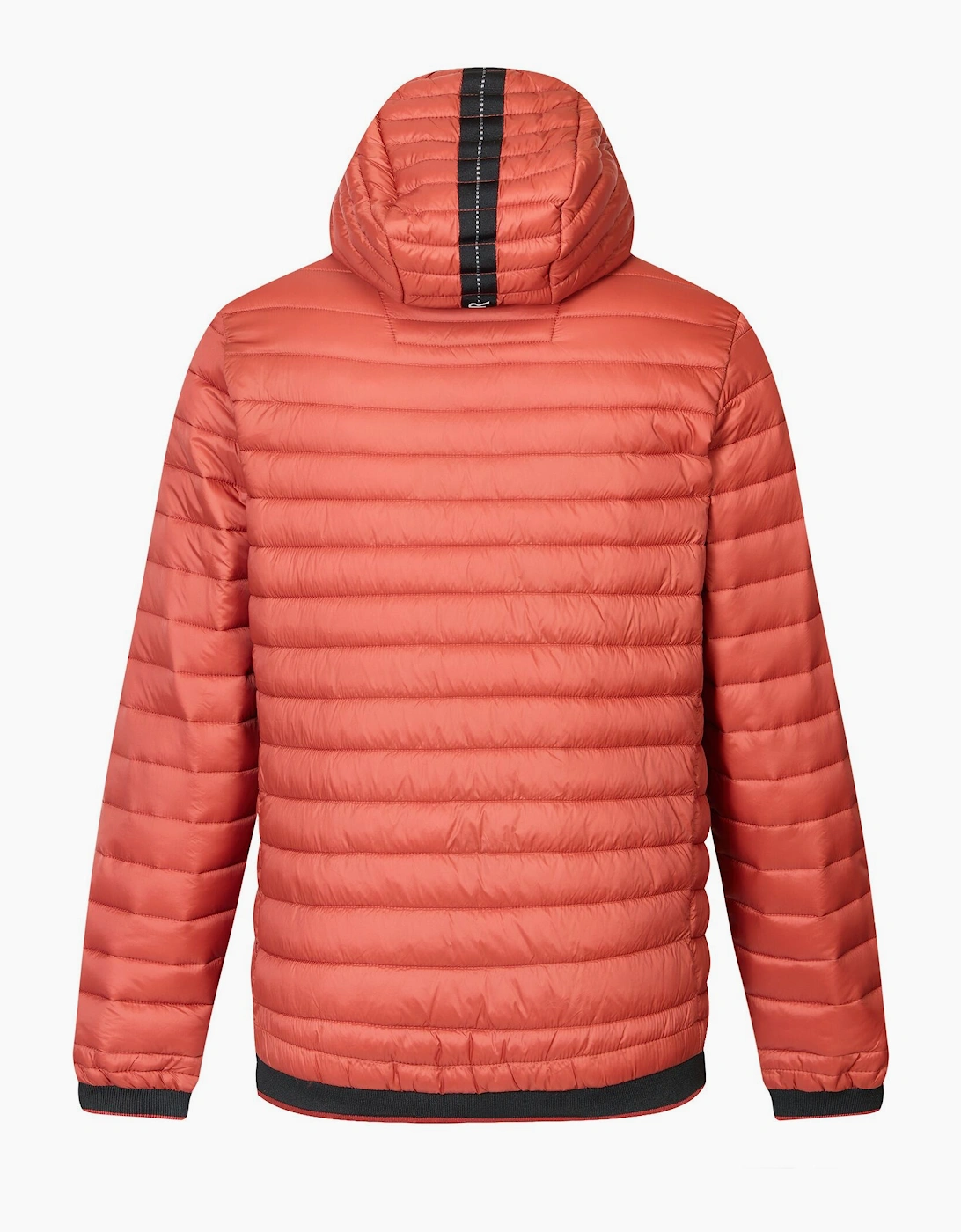Regatta Mens Haile Padded Jacket