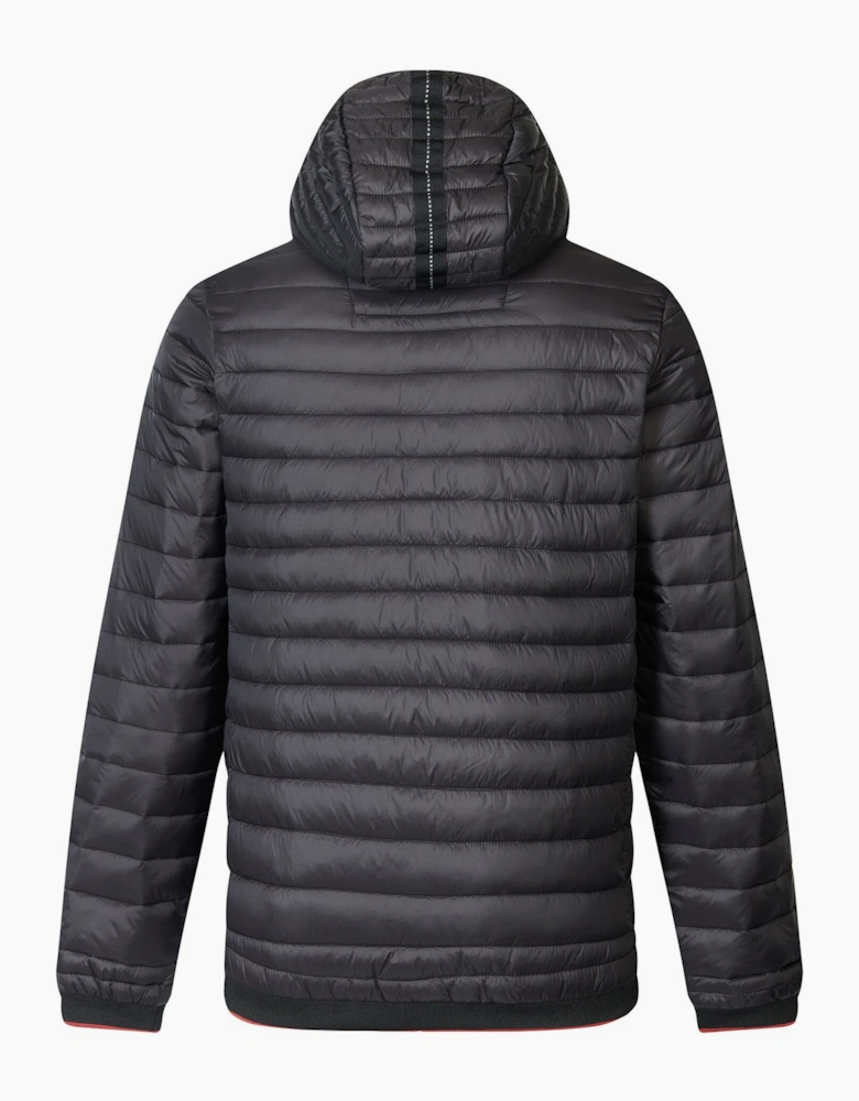 Regatta Mens Haile Padded Jacket