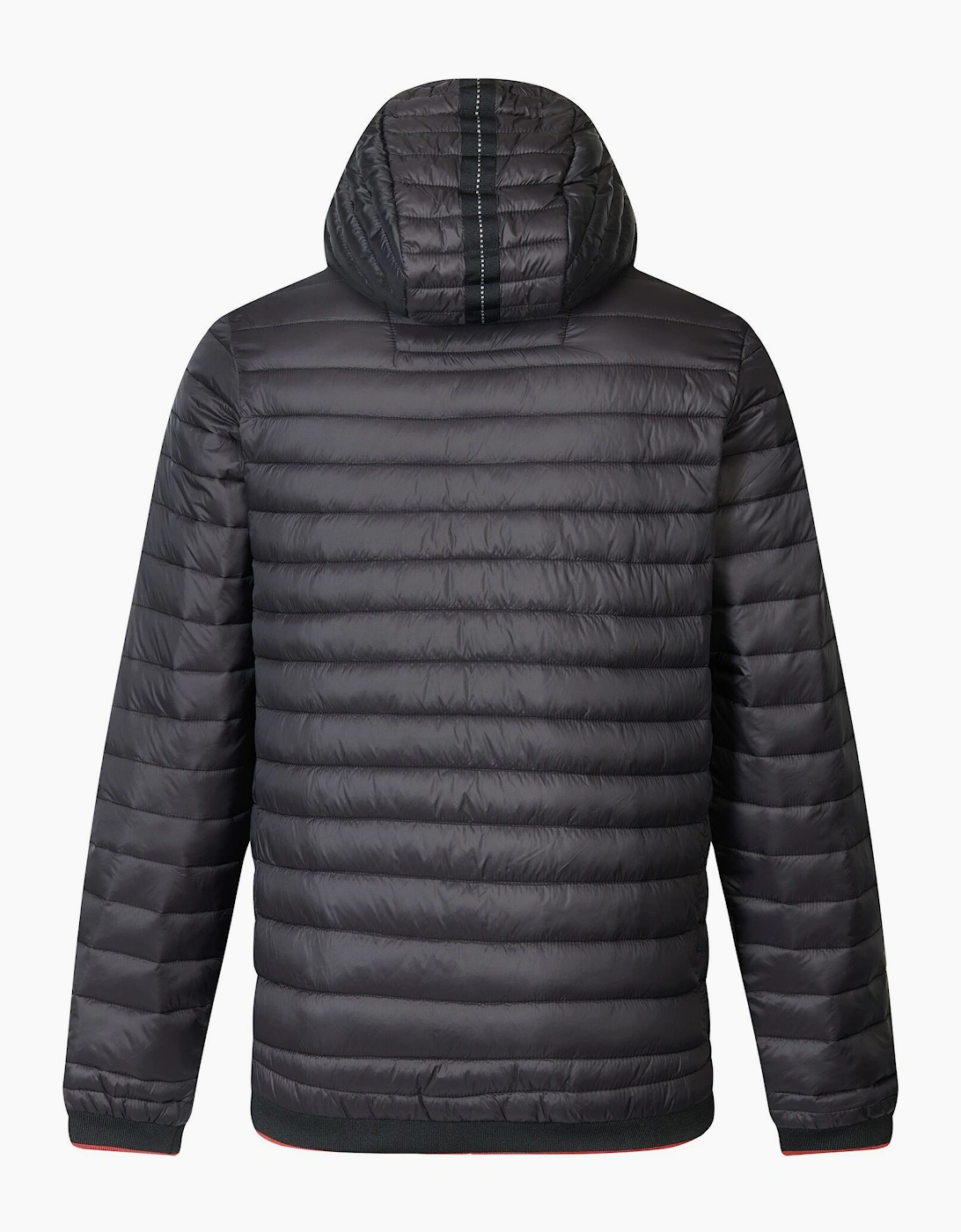 Regatta Mens Haile Padded Jacket