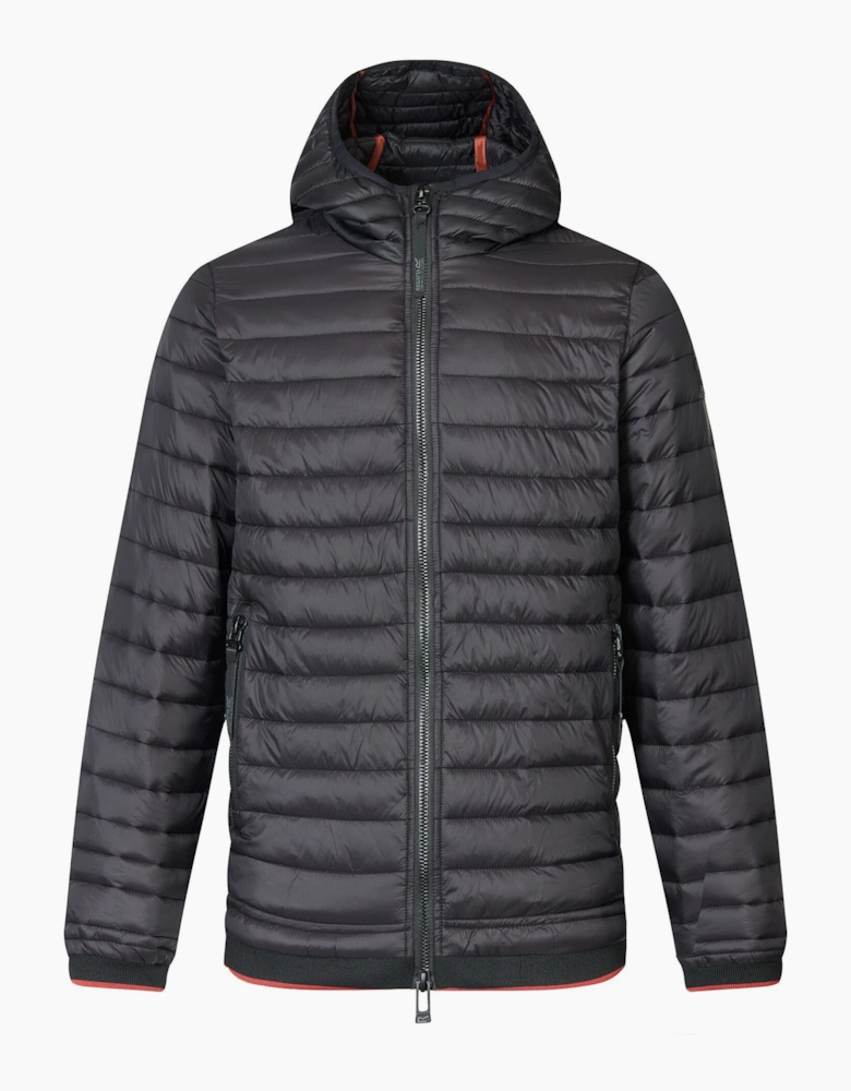 Regatta Mens Haile Padded Jacket