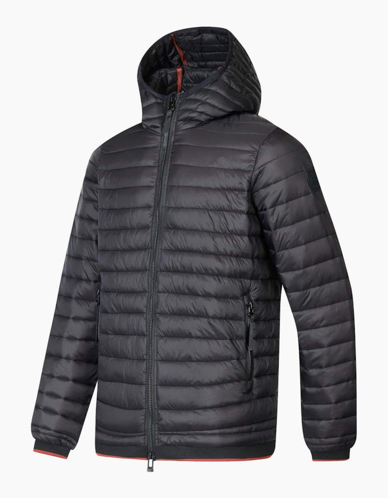 Regatta Mens Haile Padded Jacket