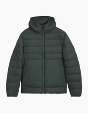 Green Grey