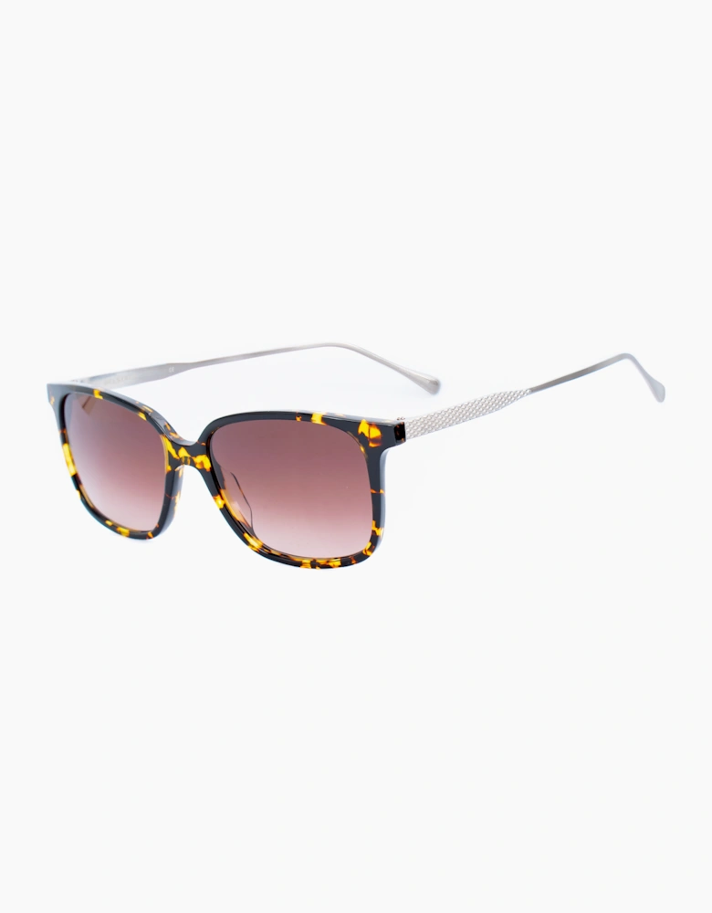 Belstaff BONINGTONS023 GLASSES
