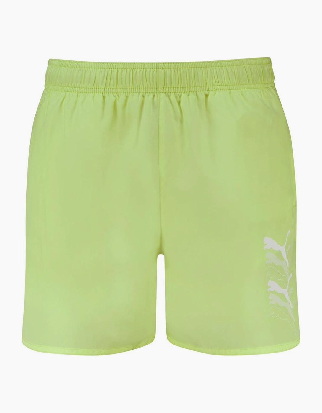 Swim Men Cats M