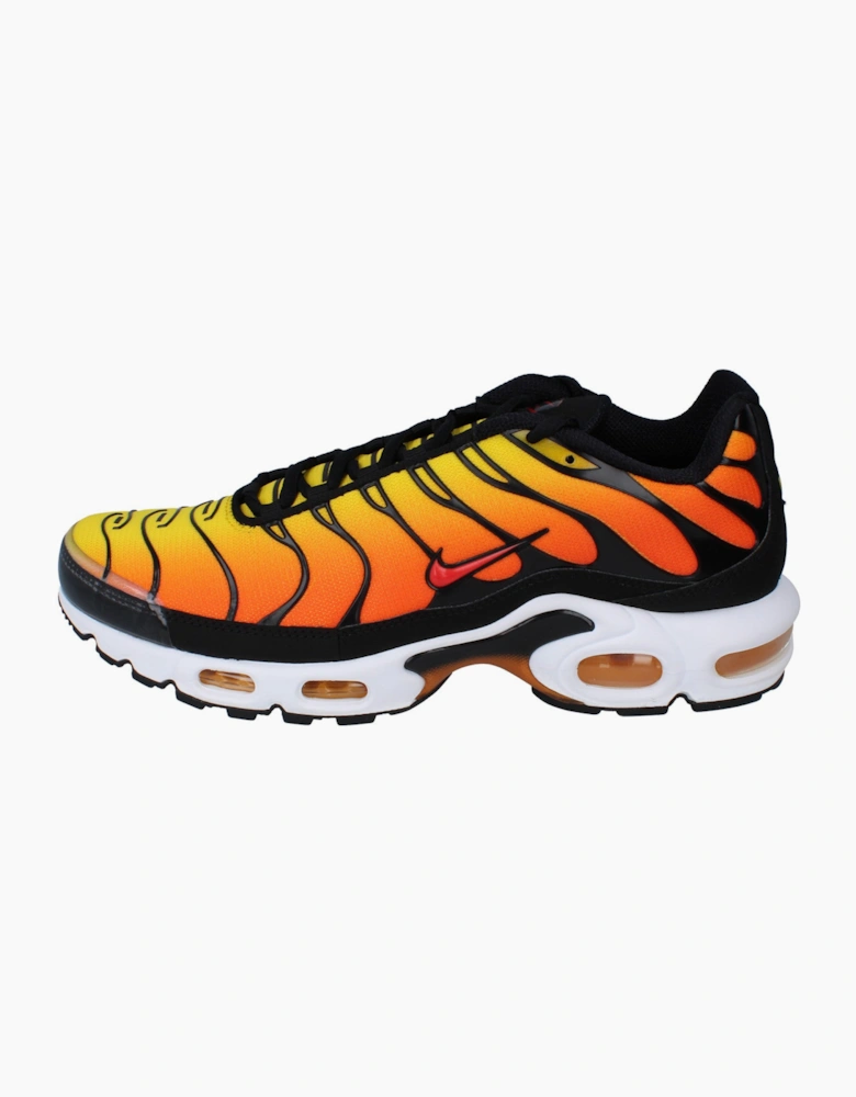 Nike Air Max Plus Mens Trainers HF0552 001