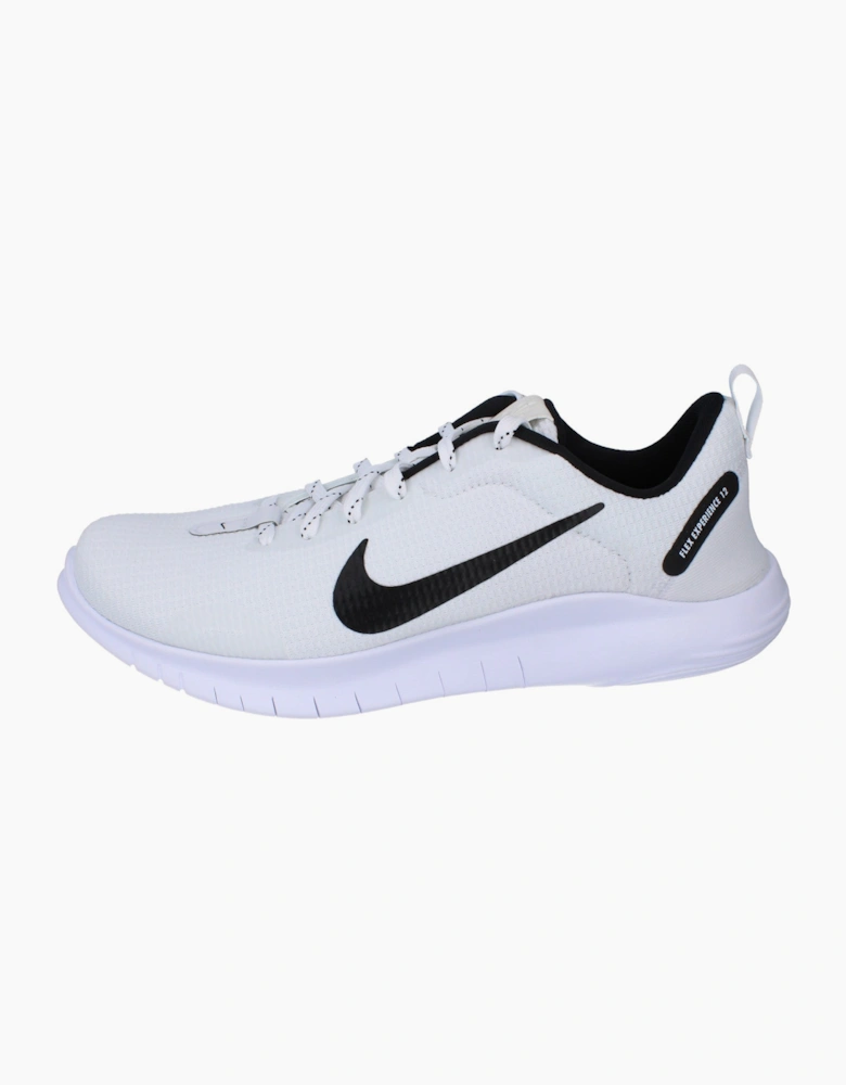 Nike Flex Experience RN 12 Mens Dv0740 101