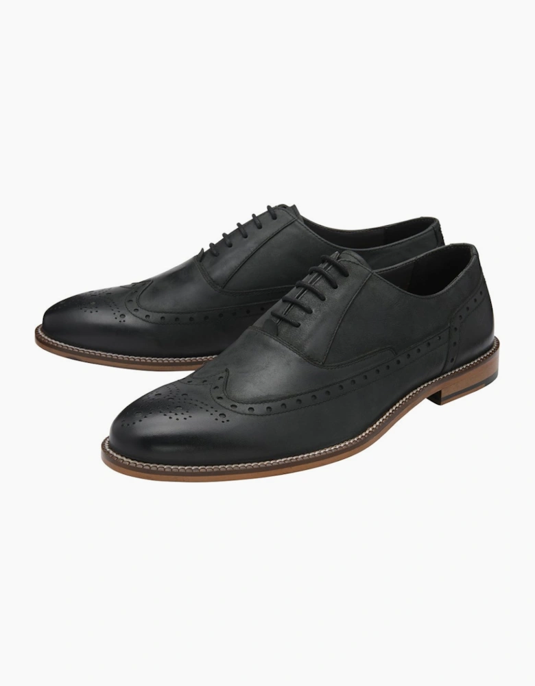 Darlow Mens Brogues
