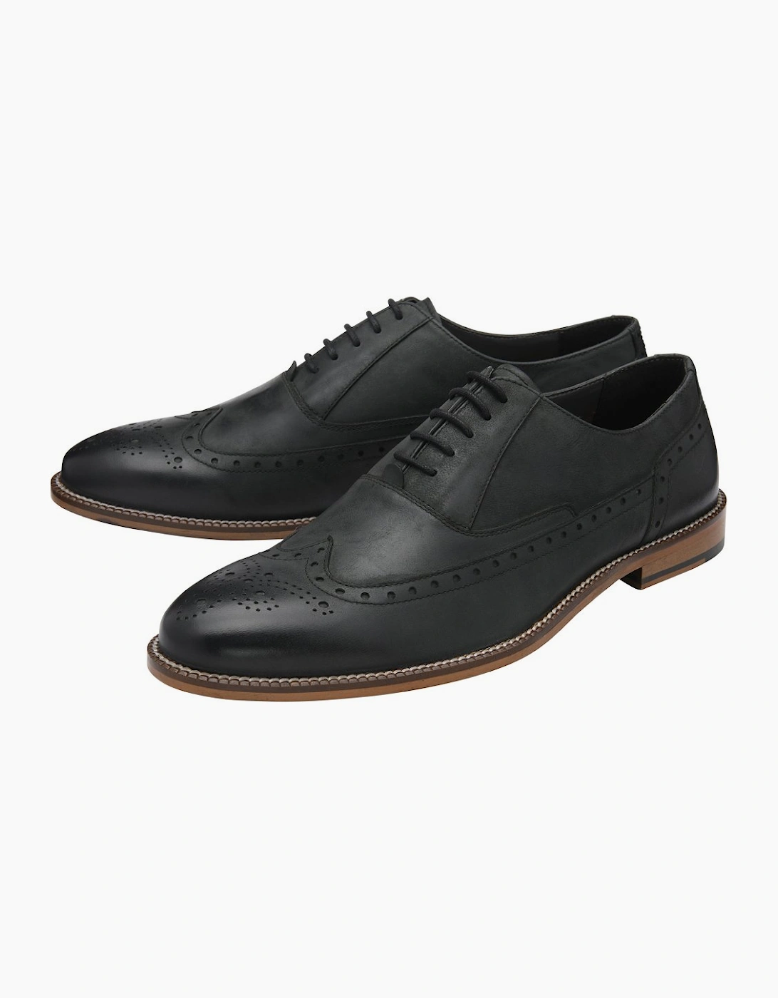 Darlow Mens Brogues