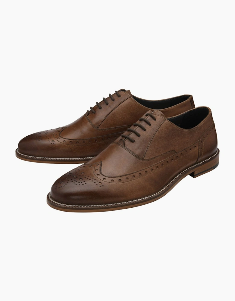 Darlow Mens Brogues