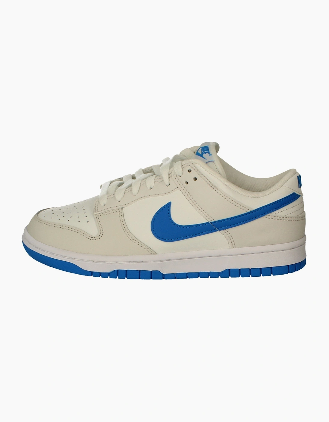 Nike Dunk Low Retro Mens Trainers DV0831 108