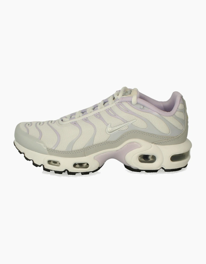 Nike Air Max Plus GS Cd0609 108