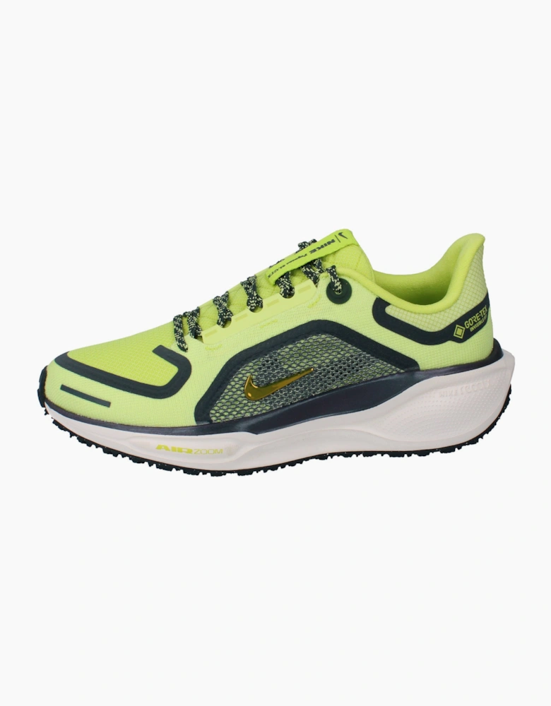 Nike Womens Air Zoom Pegasus 41 Gtx Running Trainers Fq1357 Shoes  300