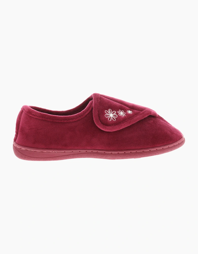 Strollers Womens Slippers Aloha Touch Fastening burgundy UK Size