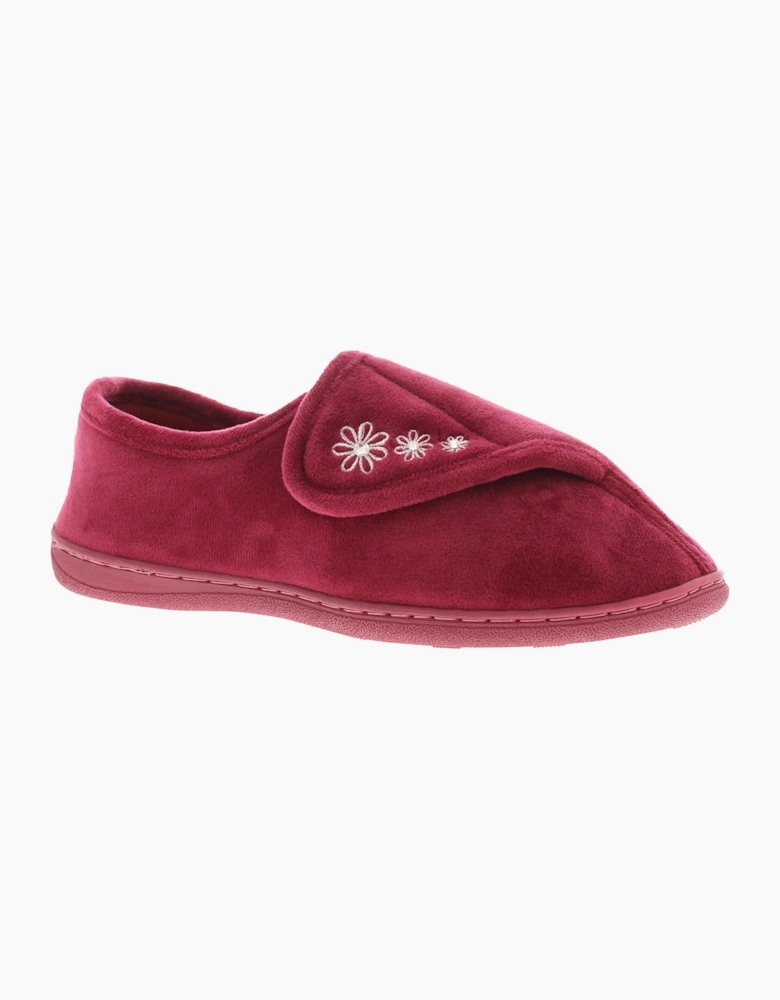 Strollers Womens Slippers Aloha Touch Fastening burgundy UK Size