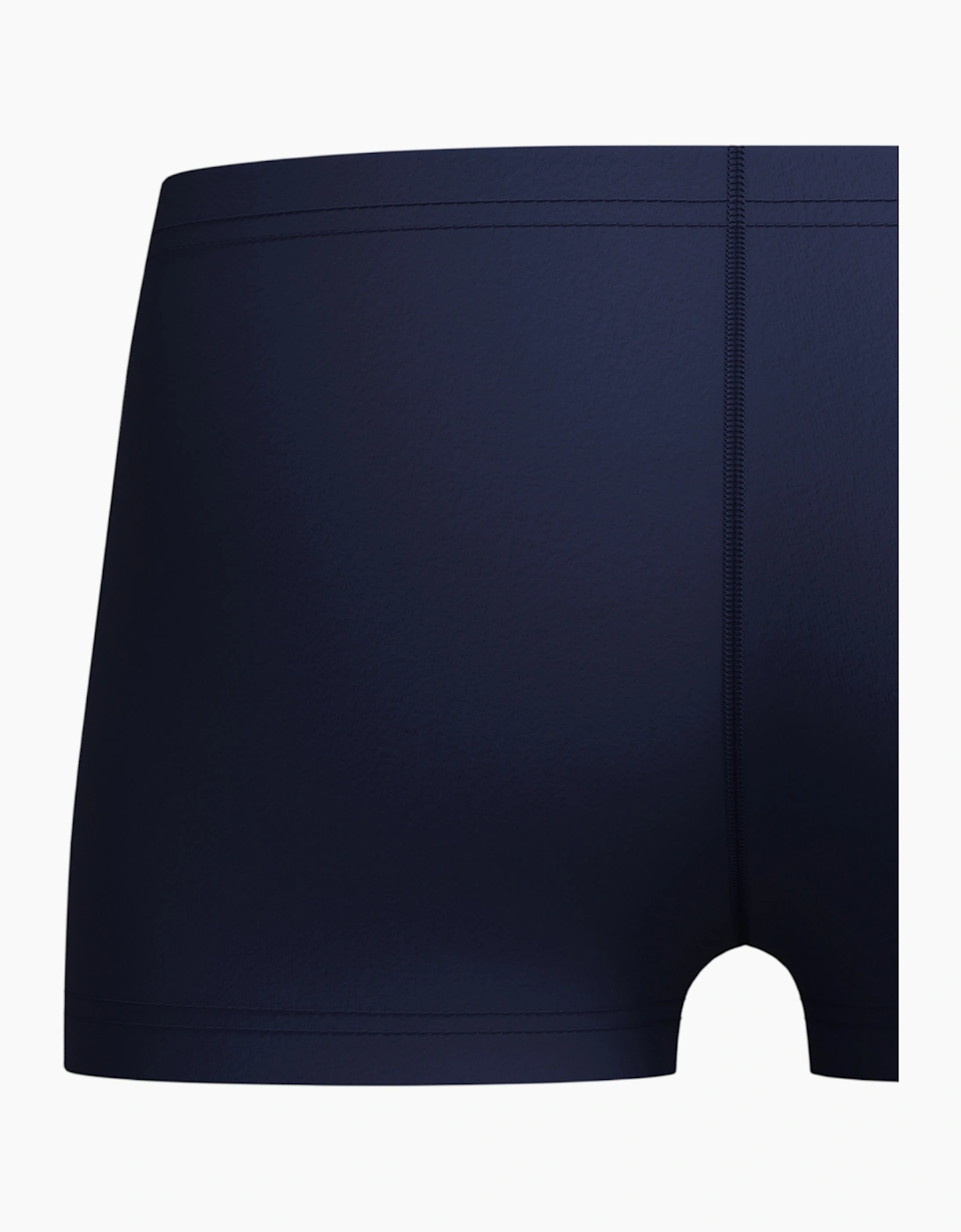 Speedo Boys Medley Logo Swim Shorts