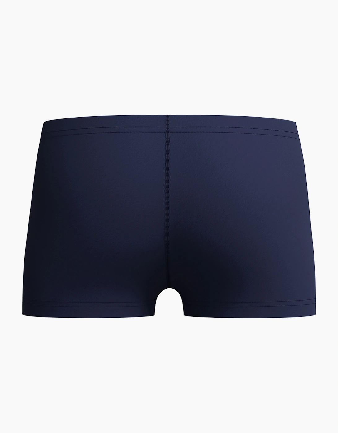 Speedo Boys Medley Logo Swim Shorts