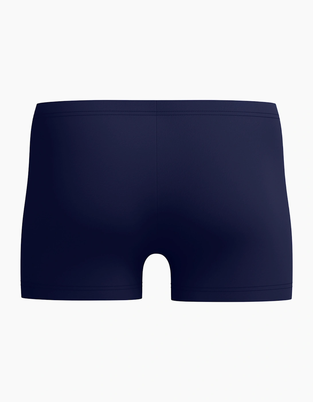Speedo Mens Medley Logo Swim Shorts