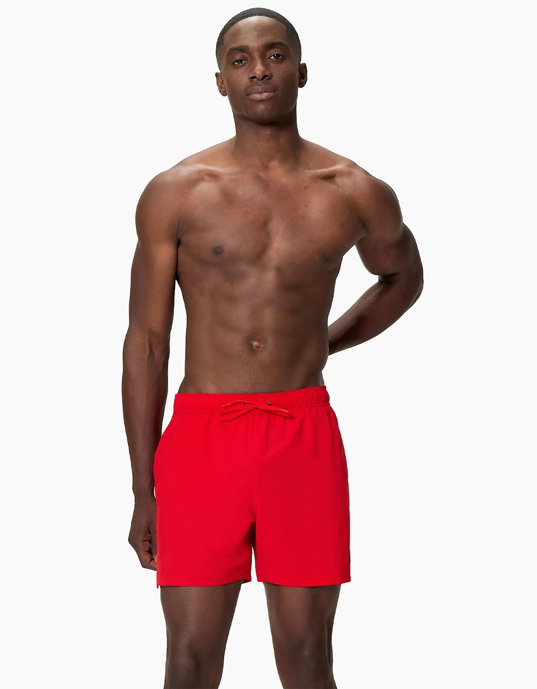 Speedo Mens Classic Volley Logo Swim Shorts
