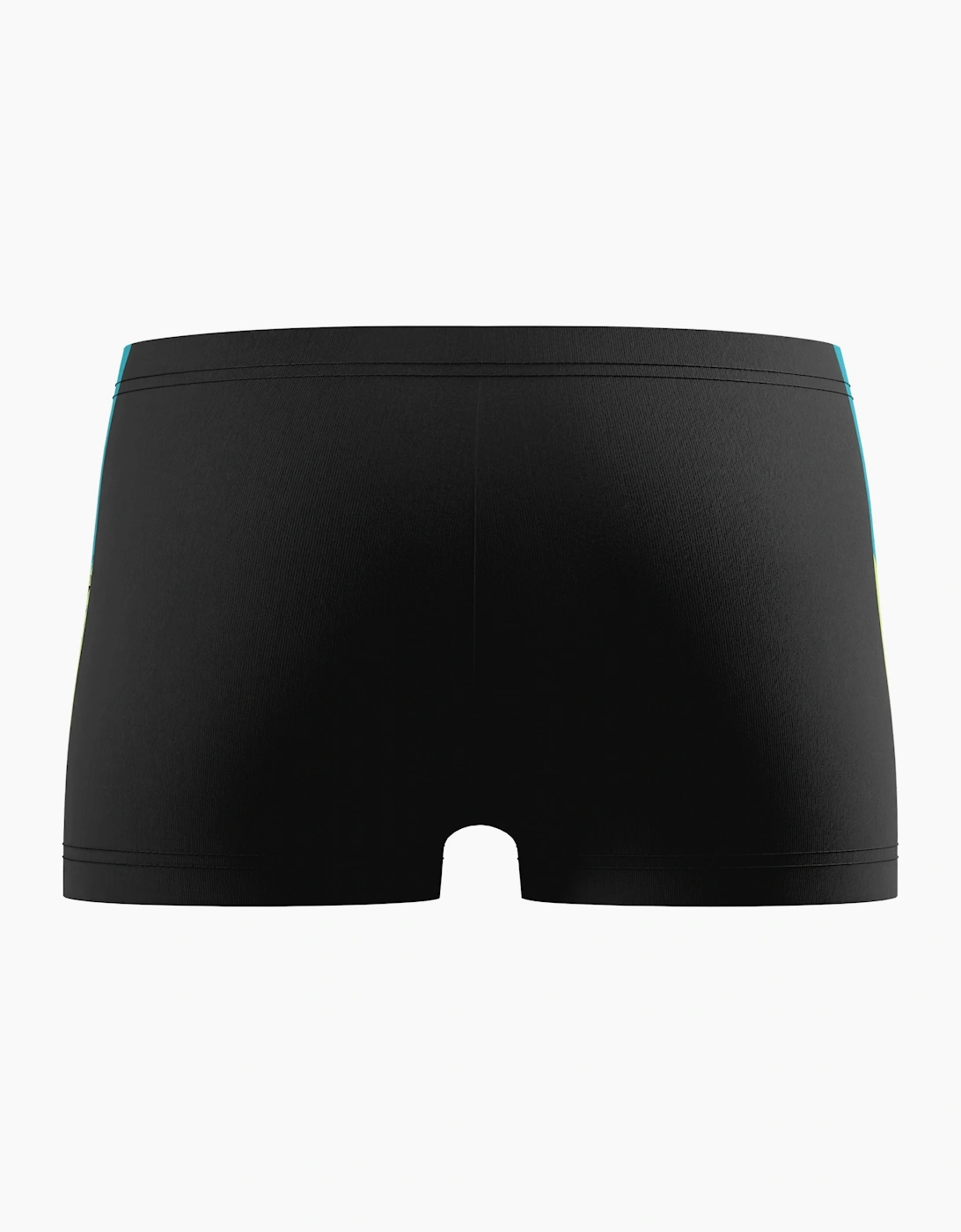 Speedo Boys Dive Contrast Panel Swim Shorts
