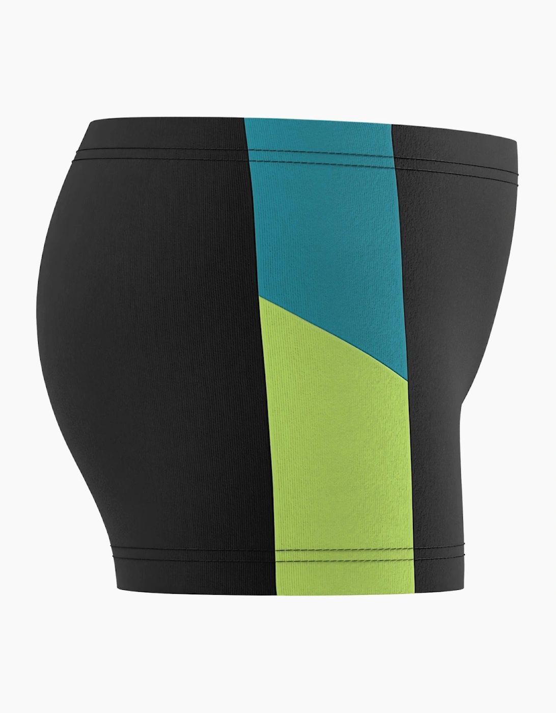 Speedo Boys Dive Contrast Panel Swim Shorts