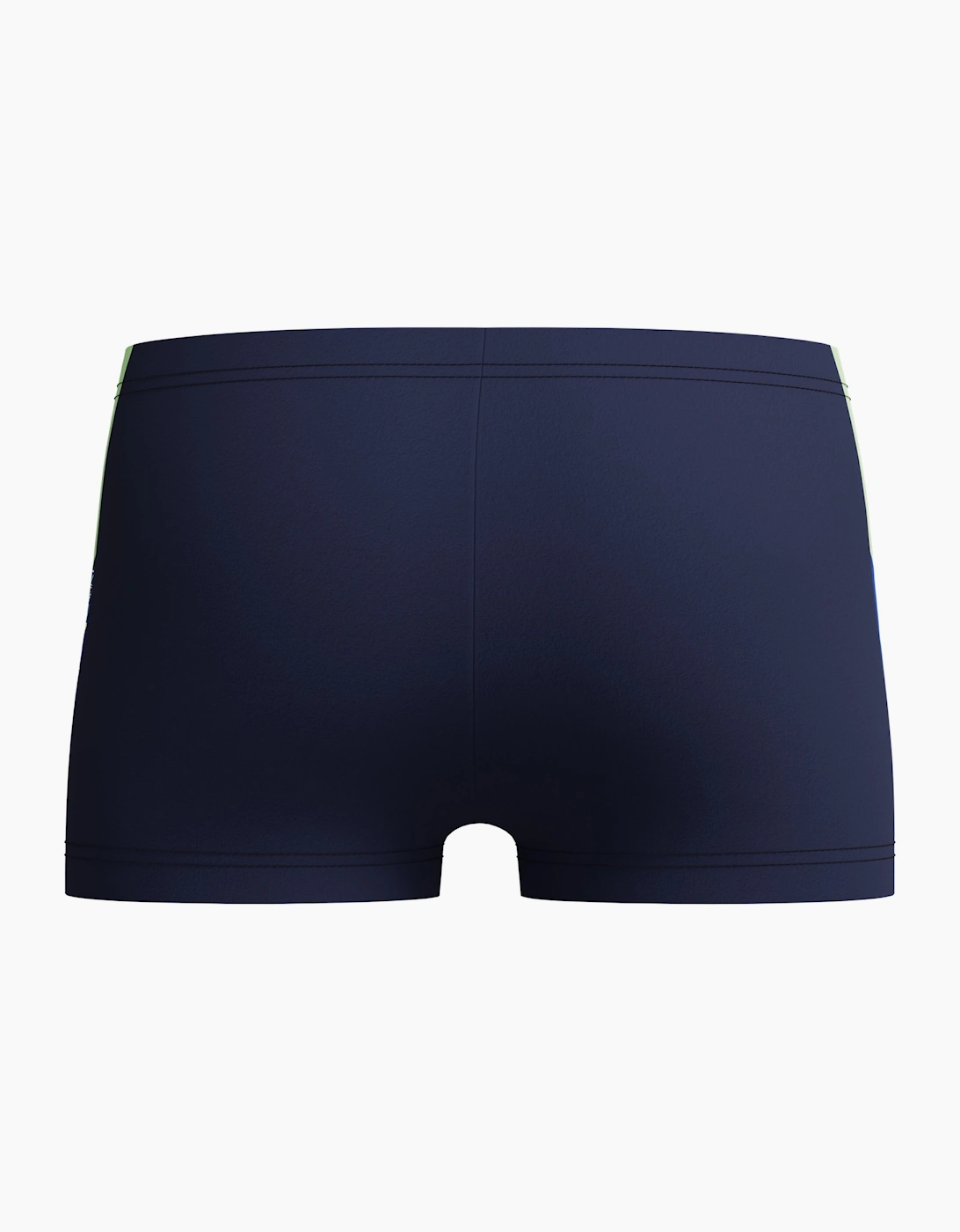 Speedo Boys Dive Contrast Panel Swim Shorts