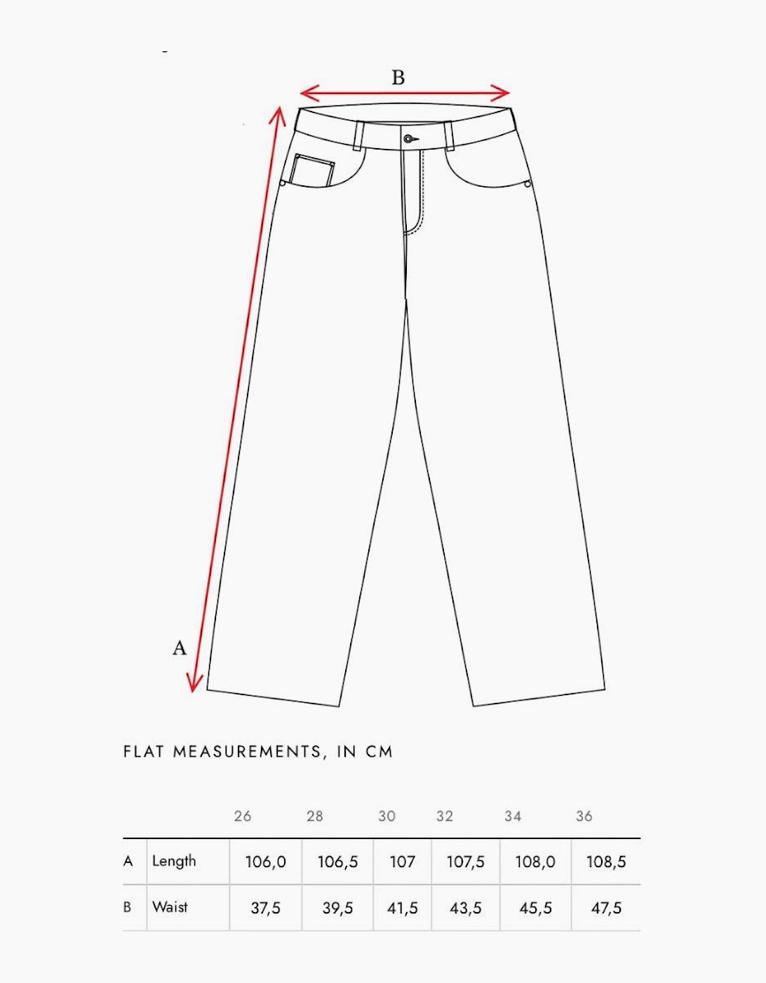 Walk In Paris Raw Denim Baggy Jeans