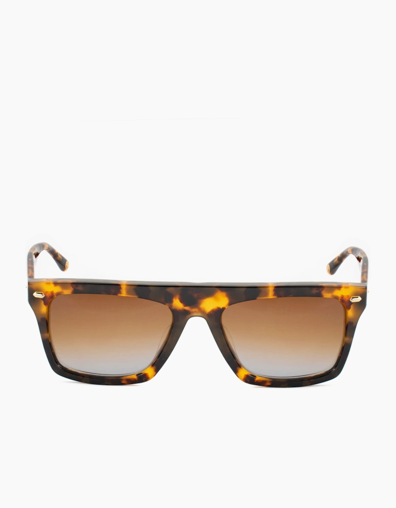 Belstaff RANFORDIIS16 GLASSES