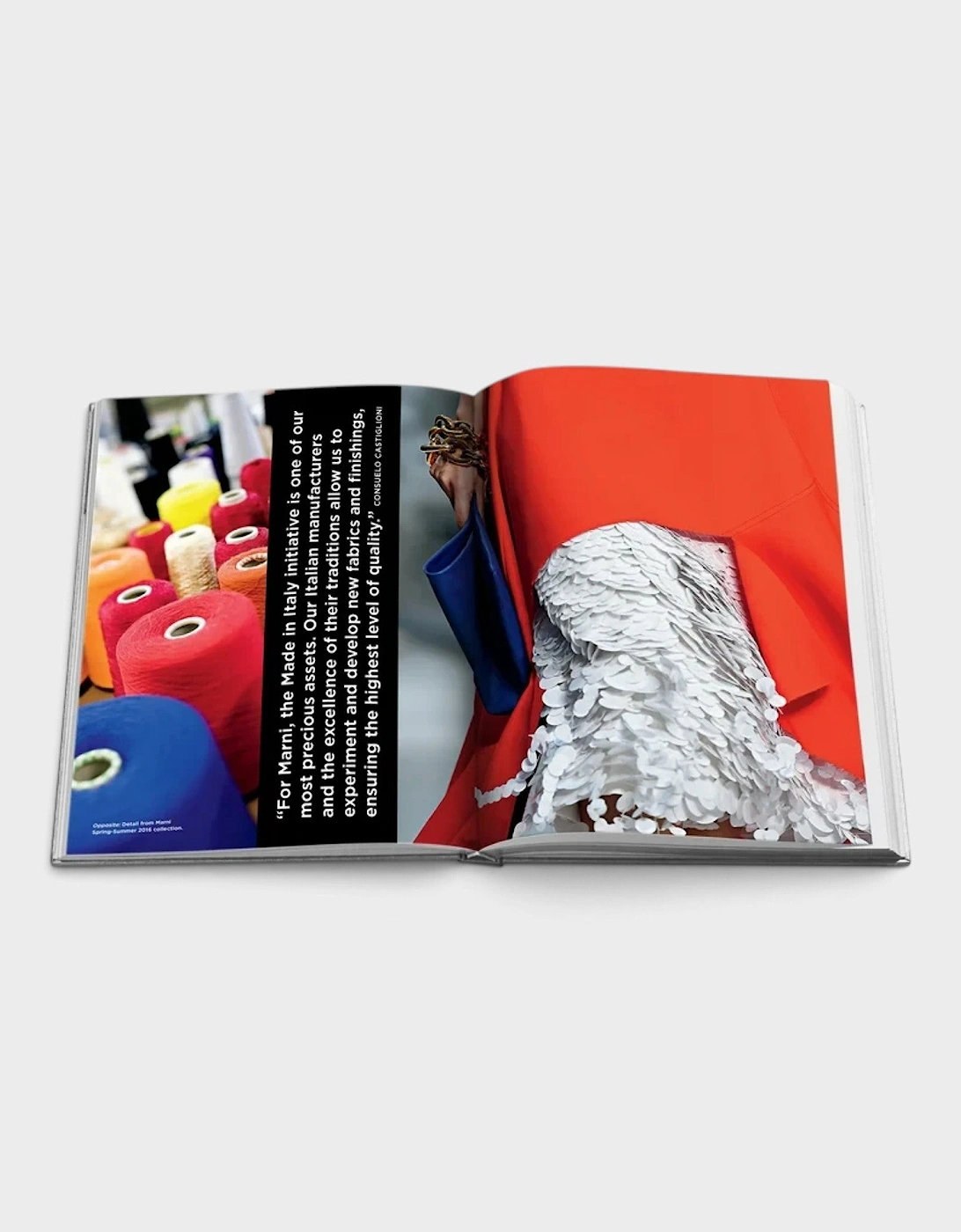 Radical Renaissance Book