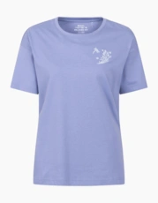Cornflower Blue