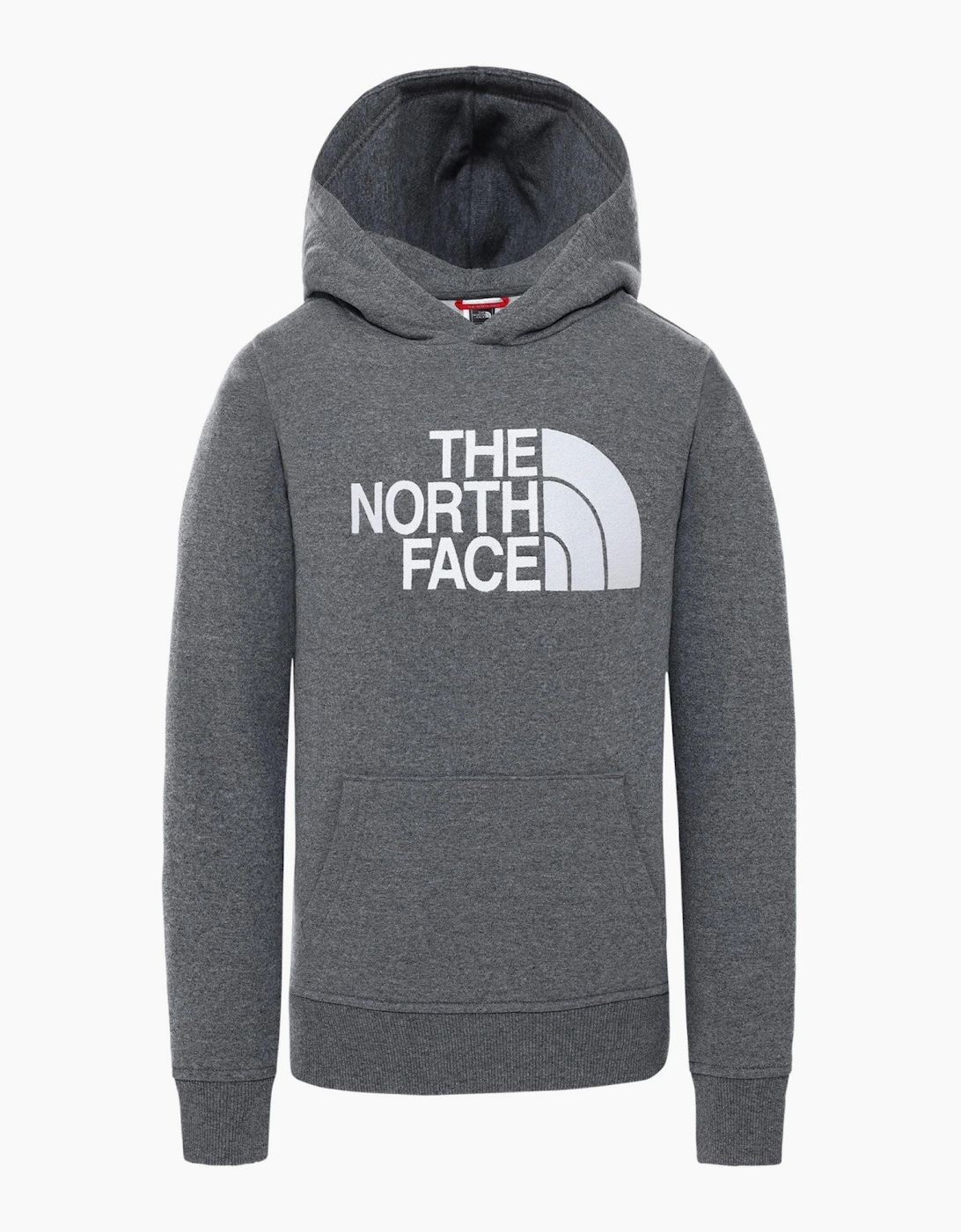 The North Face Unisex Kids Drew Peak Embroidery Hoodie in Grey
