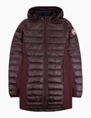 Elderberry 810