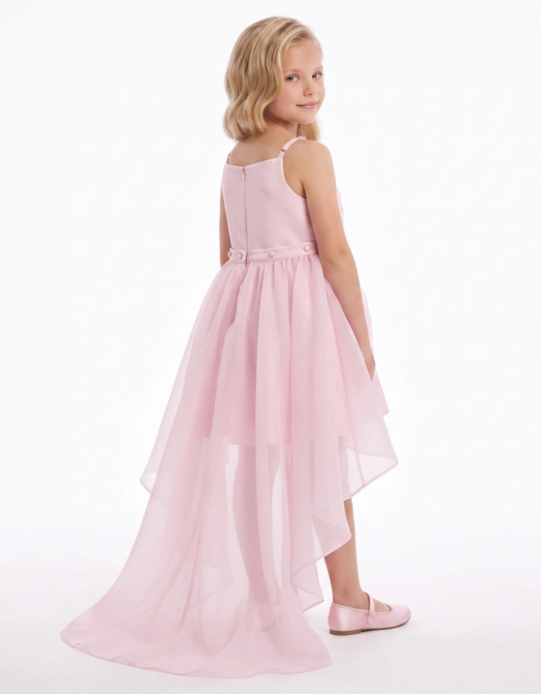 DRESS & Fleur Girls Embellished Tulle Dress with Long Train in Pink