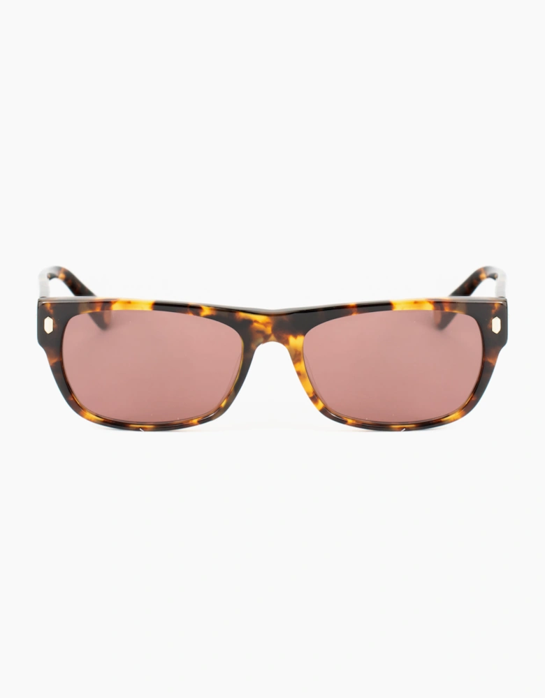Belstaff HUDSON-S188 GLASSES