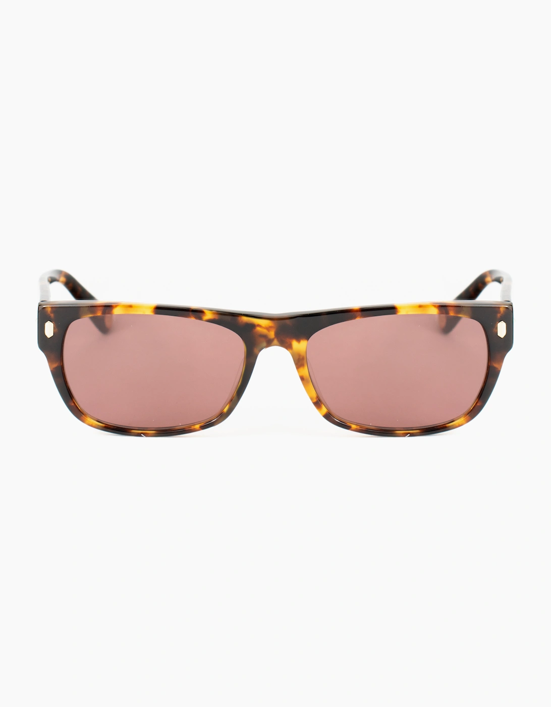 Belstaff HUDSON-S188 GLASSES