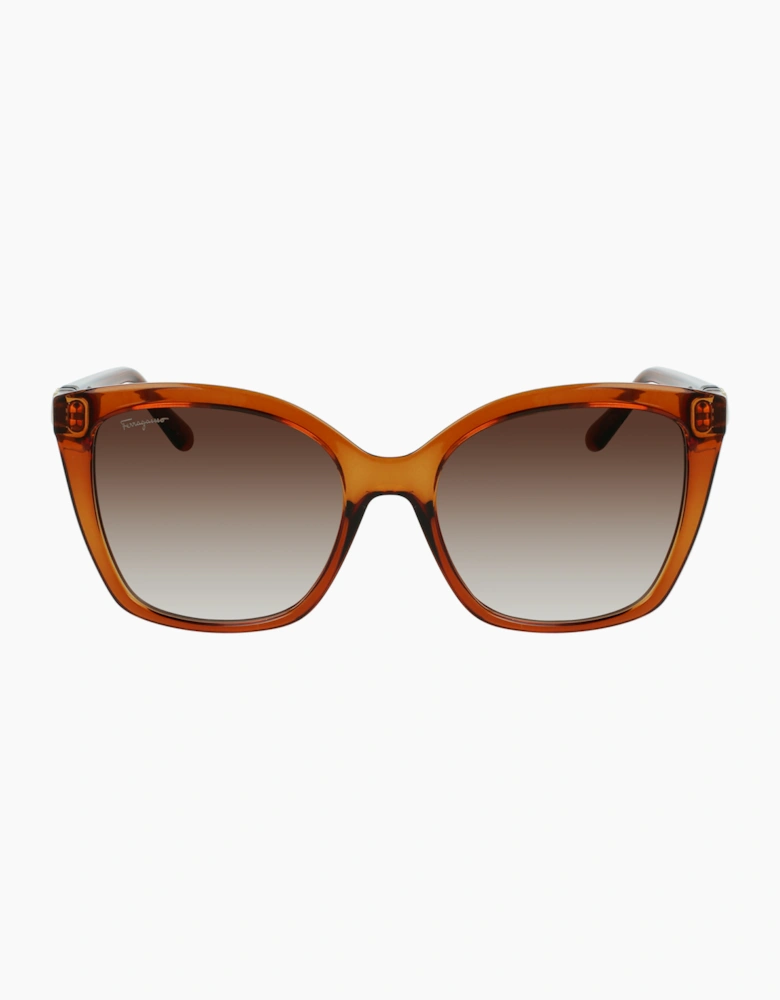 Ferragamo SF1026S-261 GLASSES