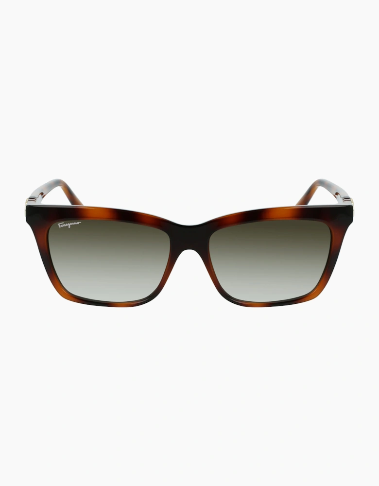 Ferragamo SF1027S-214 GLASSES