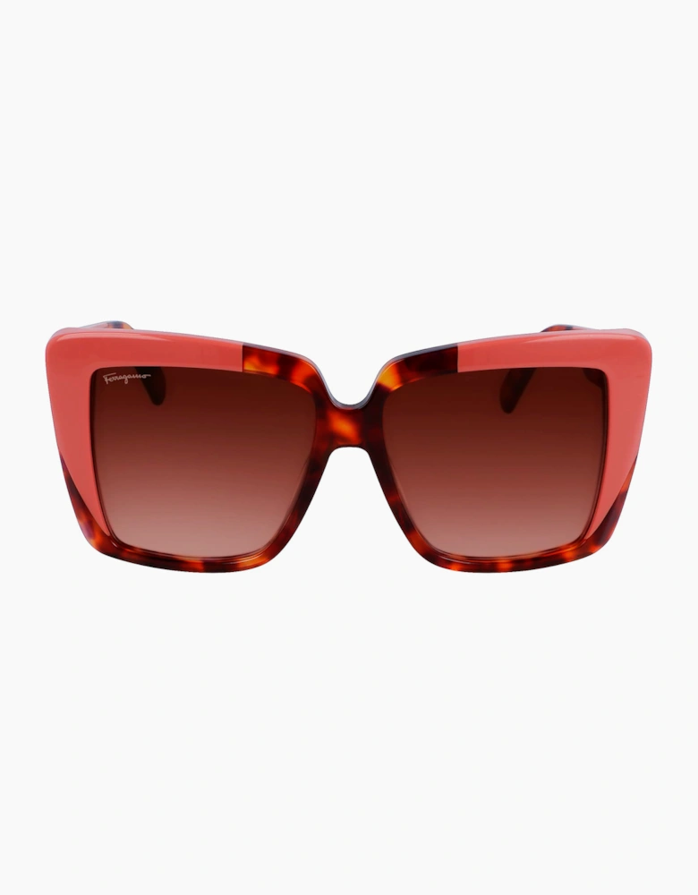 Ferragamo SF1060S-641 GLASSES