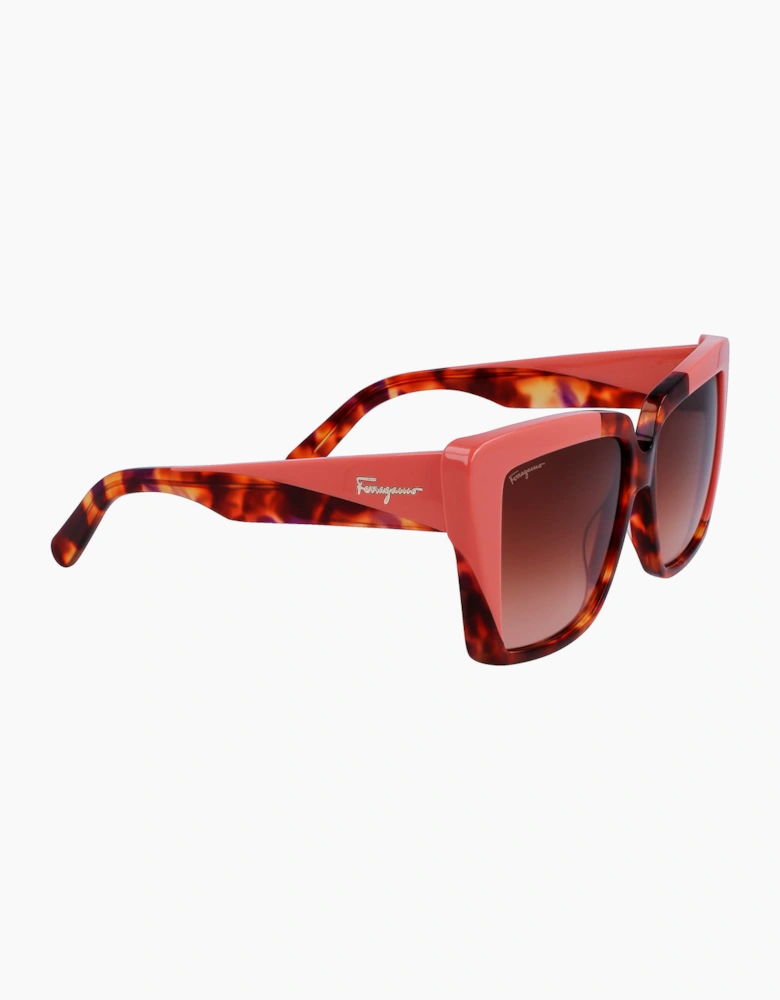 Ferragamo SF1060S-641 GLASSES